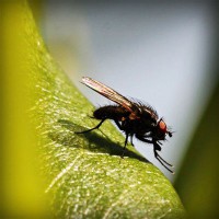 /album/nieuwsbrief/photolia-a04-jpg/