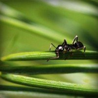 /album/nieuwsbrief/photolia-a05-jpg/