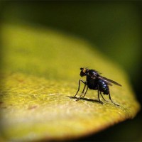 /album/nieuwsbrief/photolia-a07-jpg/