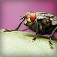 /album/nieuwsbrief/photolia-a08-jpg/